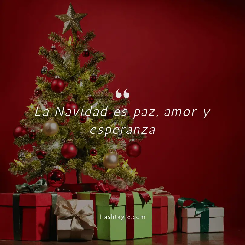 Spanish Captions for Christmas example image