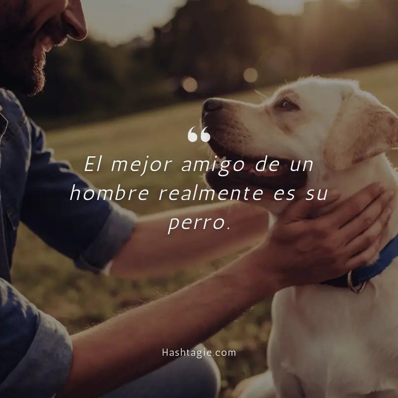 Spanish Captions for Dog Lovers example image