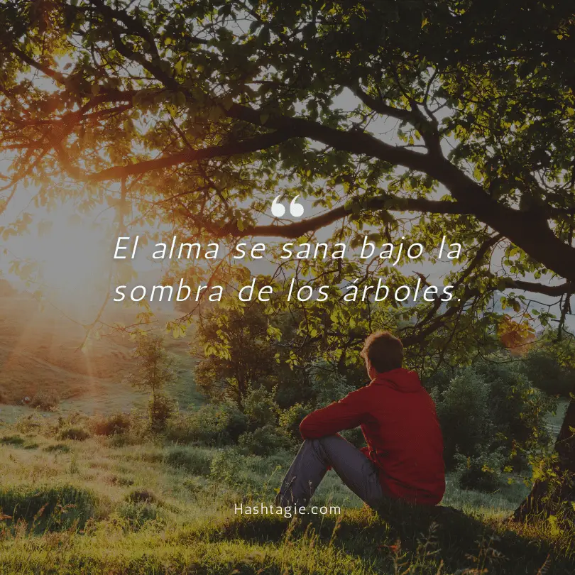 Spanish Captions for Nature Lovers example image