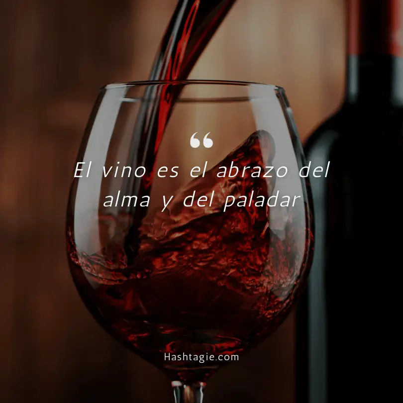 Spanish Captions for Wine Lovers example image